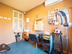 Prodej vícegeneračního domu, Brno, Otakara Ševčíka, 190 m2