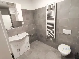 Pronájem bytu 1+kk, Praha - Vysočany, Kabešova, 41 m2