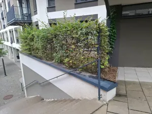 Pronájem kanceláře, Praha - Žižkov, Olgy Havlové, 71 m2