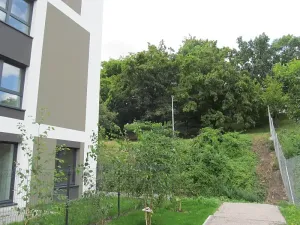 Prodej kanceláře, Praha - Žižkov, Olgy Havlové, 71 m2