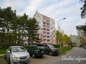 Pronájem bytu 1+kk, Brno, Opálkova, 26 m2