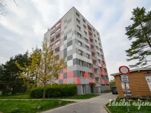 Pronájem bytu 1+kk, Brno, Opálkova, 26 m2
