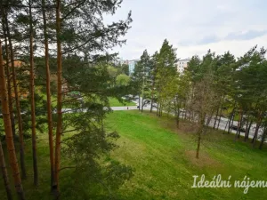 Pronájem bytu 1+kk, Brno, Opálkova, 26 m2