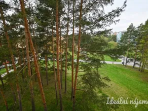 Pronájem bytu 1+kk, Brno, Opálkova, 26 m2