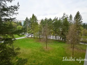 Pronájem bytu 1+kk, Brno, Opálkova, 26 m2