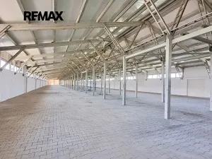 Prodej výrobních prostor, Dolní Chvatliny, 3690 m2