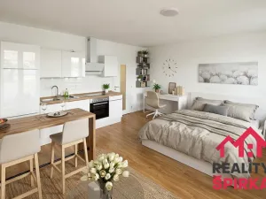 Pronájem bytu 1+kk, Svitavy - Předměstí, Říční, 34 m2