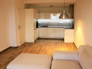 Pronájem bytu 2+kk, Plzeň, Halštatská, 70 m2