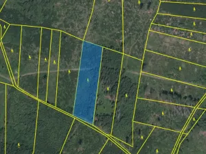 Prodej lesa, Kolinec - Buršice, 5195 m2