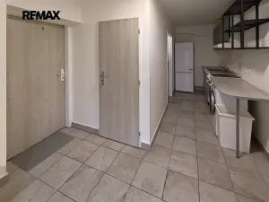 Pronájem atypického bytu, Drahelčice, V Brance, 164 m2