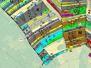 Dražba lesa, Pitín, 5996 m2