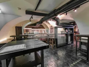 Pronájem restaurace, Brno, Pekařská, 163 m2