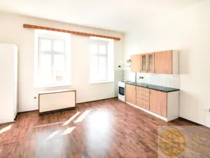 Prodej komerční nemovitosti, Tábor, Palackého, 552 m2