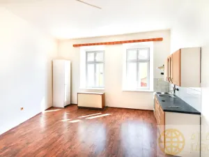 Prodej komerční nemovitosti, Tábor, Palackého, 552 m2