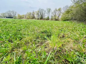 Prodej pozemku pro bydlení, Dlouhá Lhota, 3560 m2