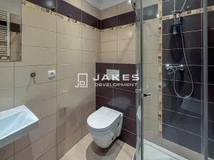 Pronájem bytu 1+kk, Praha - Libeň, Pod Labuťkou, 30 m2