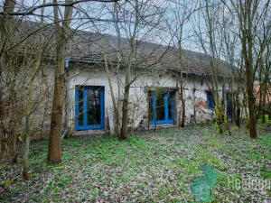 Prodej zemědělské usedlosti, Bečice, 502 m2