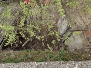 Prodej rodinného domu, Nový Knín, Žižkova, 79 m2