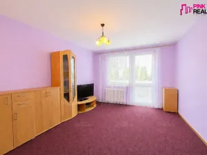 Pronájem bytu 1+1, Rychnov nad Kněžnou, Mírová, 40 m2