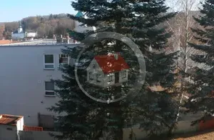 Pronájem bytu 3+1, Třešť, Barvířská, 73 m2