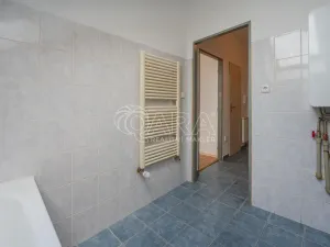 Prodej bytu 1+kk, Písek - Václavské Předměstí, Hostivítova, 30 m2