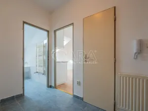 Prodej bytu 1+kk, Písek - Václavské Předměstí, Hostivítova, 30 m2