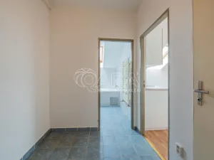 Prodej bytu 1+kk, Písek - Václavské Předměstí, Hostivítova, 30 m2