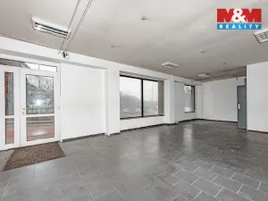 Prodej obchodního prostoru, Častolovice, Komenského, 154 m2