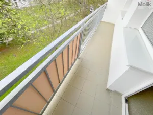 Prodej bytu 3+1, Bílina - Pražské Předměstí, Aléská, 64 m2