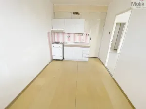 Prodej bytu 3+1, Bílina - Pražské Předměstí, Aléská, 64 m2