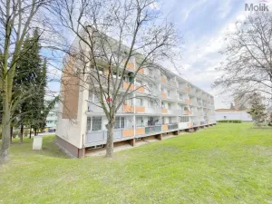 Prodej bytu 3+1, Bílina - Pražské Předměstí, Aléská, 64 m2