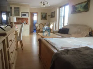 Pronájem bytu 1+kk, Železná Ruda, Belvederská, 50 m2