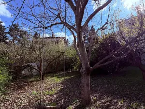 Pronájem rodinného domu, Praha - Braník, U dubu, 200 m2