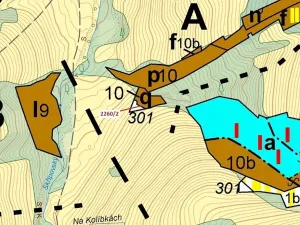 Dražba lesa, Zděchov, 1022 m2