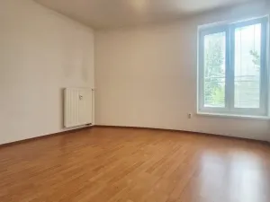 Pronájem bytu 2+kk, České Budějovice, Litvínovická, 50 m2