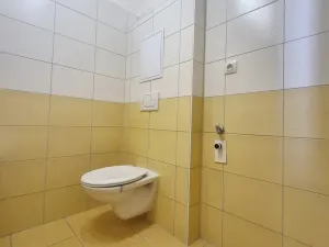 Pronájem bytu 2+kk, České Budějovice, Litvínovická, 50 m2