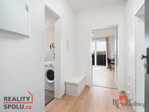 Pronájem bytu 1+kk, Heřmanova Huť - Vlkýš, U Pondu, 35 m2