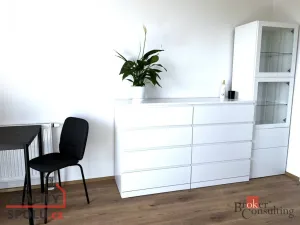 Pronájem bytu 1+kk, Heřmanova Huť - Vlkýš, U Pondu, 35 m2