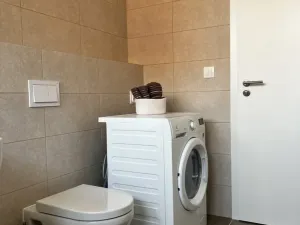 Pronájem bytu 1+kk, Heřmanova Huť - Vlkýš, U Pondu, 35 m2