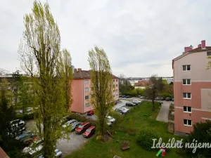 Pronájem bytu 3+kk, Brno - Štýřice, Renneská třída, 71 m2