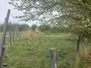 Prodej pozemku, Polom, 9766 m2