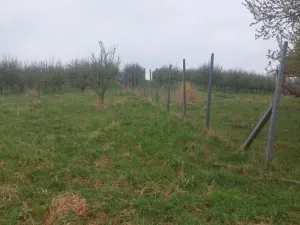 Prodej pozemku, Polom, 9766 m2