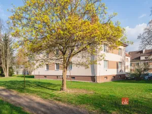 Prodej bytu 3+kk, Rokycany - Nové Město, Družstevní, 68 m2