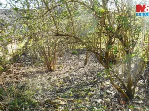 Prodej zahrady, Úštěk - Kalovice, 725 m2