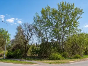 Prodej pozemku pro bydlení, Praha, Šlechtitelská, 924 m2