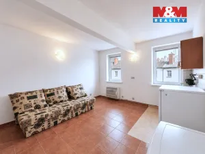 Pronájem bytu 1+kk, Ostrava - Moravská Ostrava, S. K. Neumanna, 22 m2