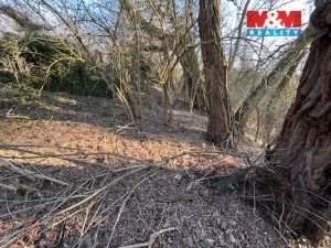 Prodej pozemku pro bydlení, Škvorec, Na Pazderně, 3021 m2