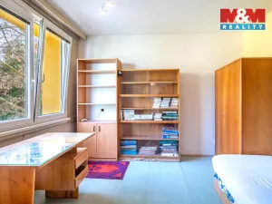 Prodej bytu 3+1, Písek - Budějovické Předměstí, třída Přátelství, 65 m2