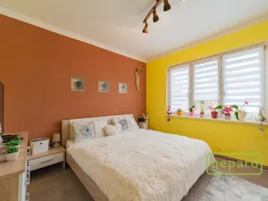 Prodej bytu 2+1, Ostrov, S. K. Neumanna, 54 m2