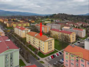 Prodej bytu 2+1, Ostrov, S. K. Neumanna, 54 m2
